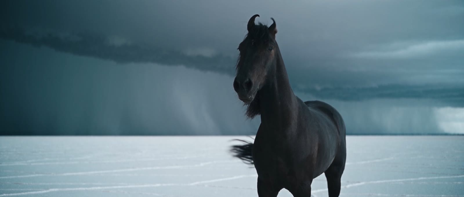 A black Marwari horse on the salt flats under storm clouds